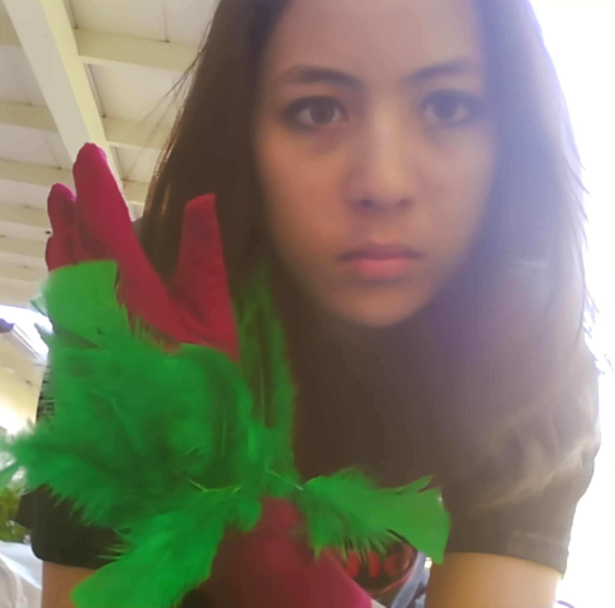 Photograph of a girl with brown hair wearing magenta gloves with green feathers