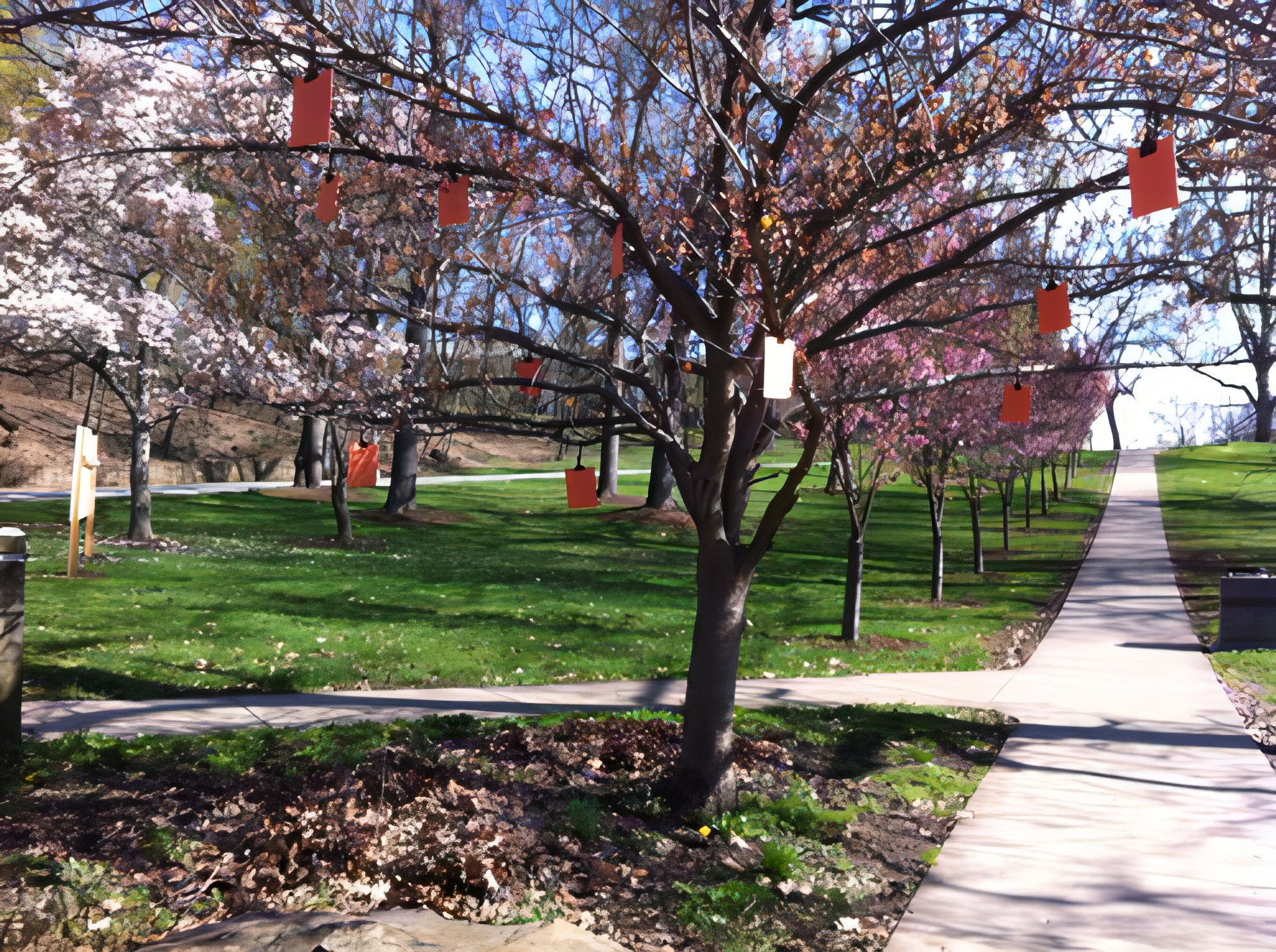 Photograph of a tree with hanging orange rectangles