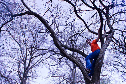 Photograph of a man in an orange shirt climbing a tree